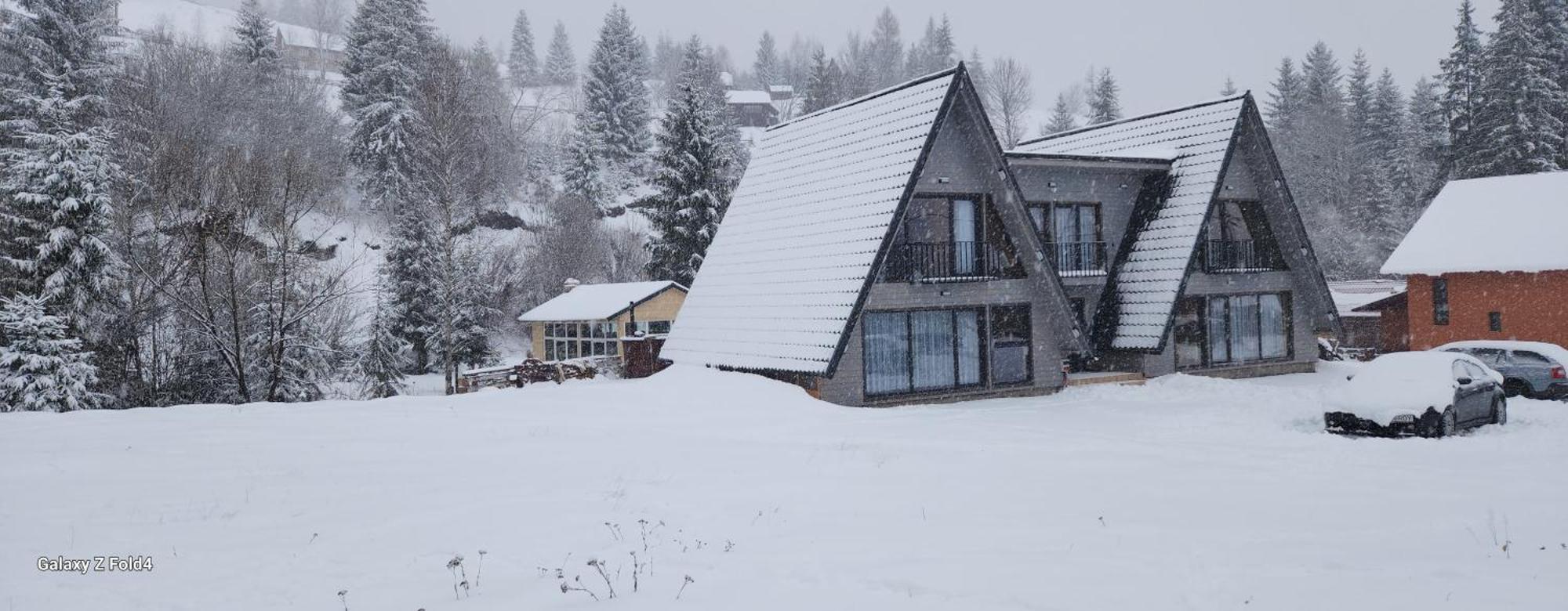 Cabana Din Vale Arieseni Apuseni Hotel Kültér fotó