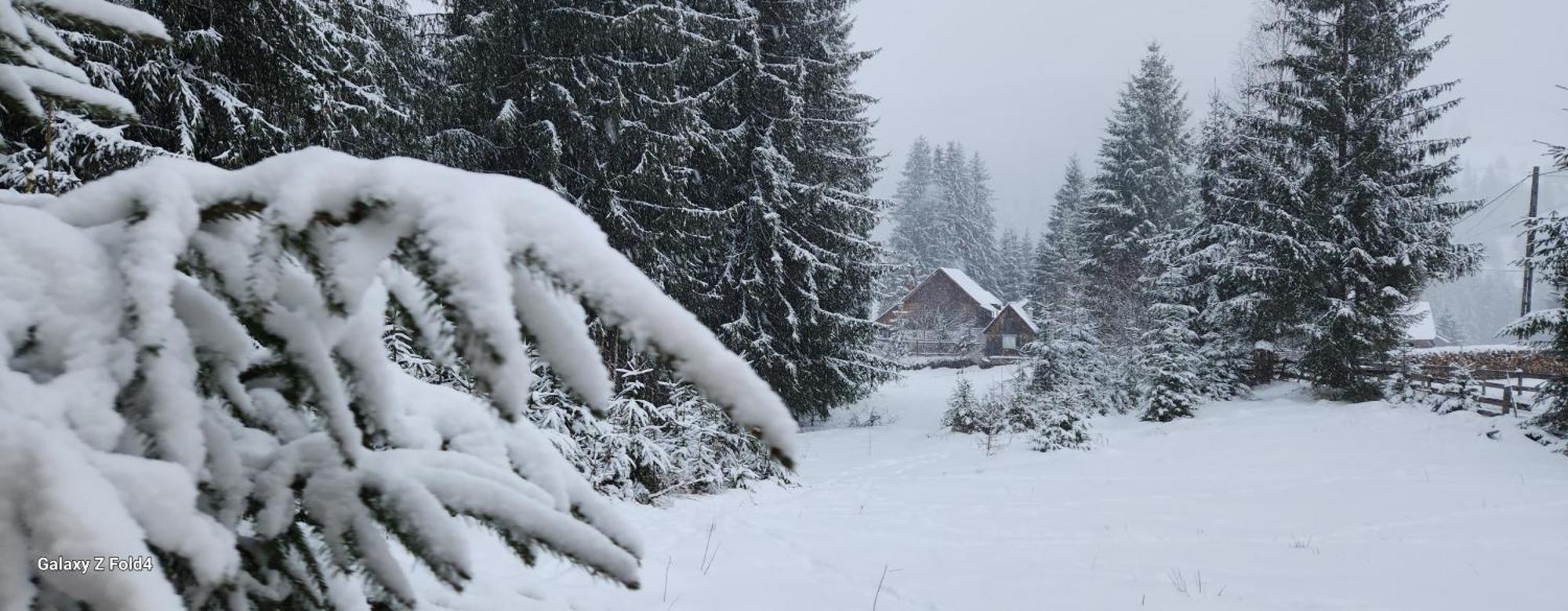 Cabana Din Vale Arieseni Apuseni Hotel Kültér fotó